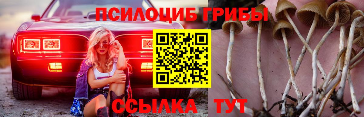 Галлюциногенные грибы GOLDEN TEACHER  Вход с VPN  как найти наркотики  Галлюциногенные грибы MAGIC MUSHROOMS  Королёв 
