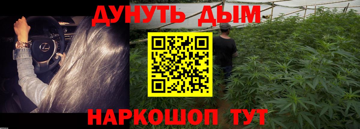 Каннабис индика  Канабис Amnesia  Королёв  Вход с VPN  Канабис тримм 